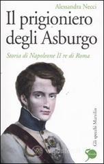 Il prigioniero degli Asburgo. Storia di Napoleone II re di Roma. E-book