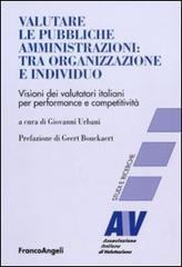Valutare le pubbliche amministrazioni: tra organizzazione e individuo. Visioni dei valutatori italiani per perfomance e competitività. E-book