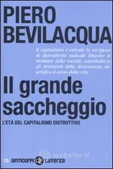 Il grande saccheggio. L'et� del capitalismo distruttivo