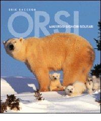Orsi