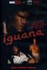 Iguana
