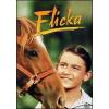 Flicka