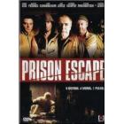 Prison Escape