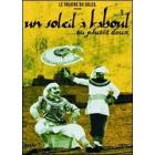 Un soleil � Kaboul... ou plut�t deux