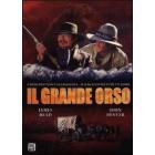 Il grande orso