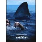 The Reef