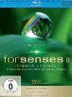 Forenses II. Timber Lounge (Blu-ray)