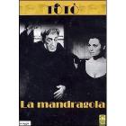 La mandragola