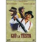 Gių la testa Gių la testa