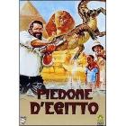 Piedone d'Egitto