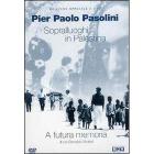 Sopralluoghi in Palestina (2 Dvd)