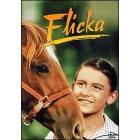 Flicka Flicka
