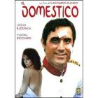 Il domestico