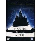 Flowers in the Attic. Fiori nell'attico