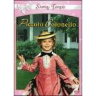 Il piccolo colonnello Il piccolo colonnello