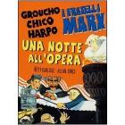Una notte all'opera