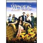 Weeds. Seconda stagione (2 Dvd)
