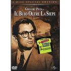 Il buio oltre la siepe (Edizione Speciale 2 dvd)