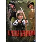 Il piccolo capo indiano